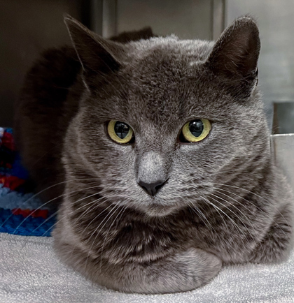 Bay **Bonded with Bee**