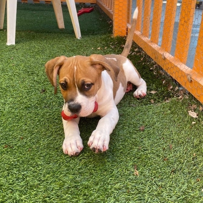 Happy- one of the seven dwarfs 