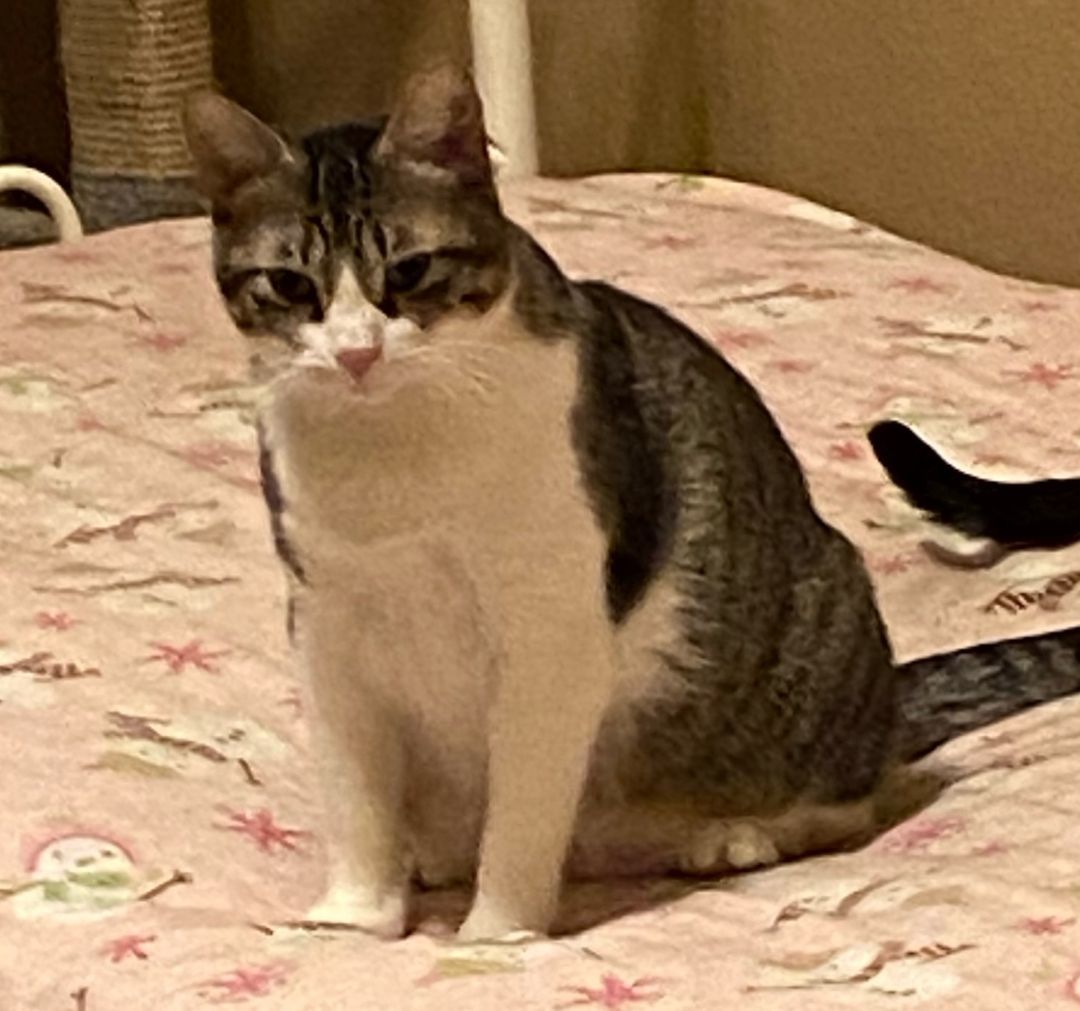 Stella #momma-of-Melanie