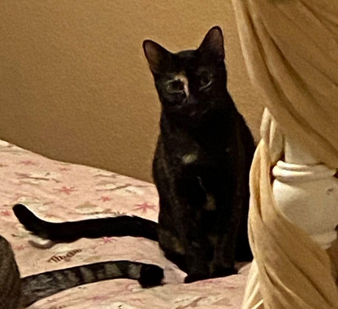 Melanie #daughter-of-Stella