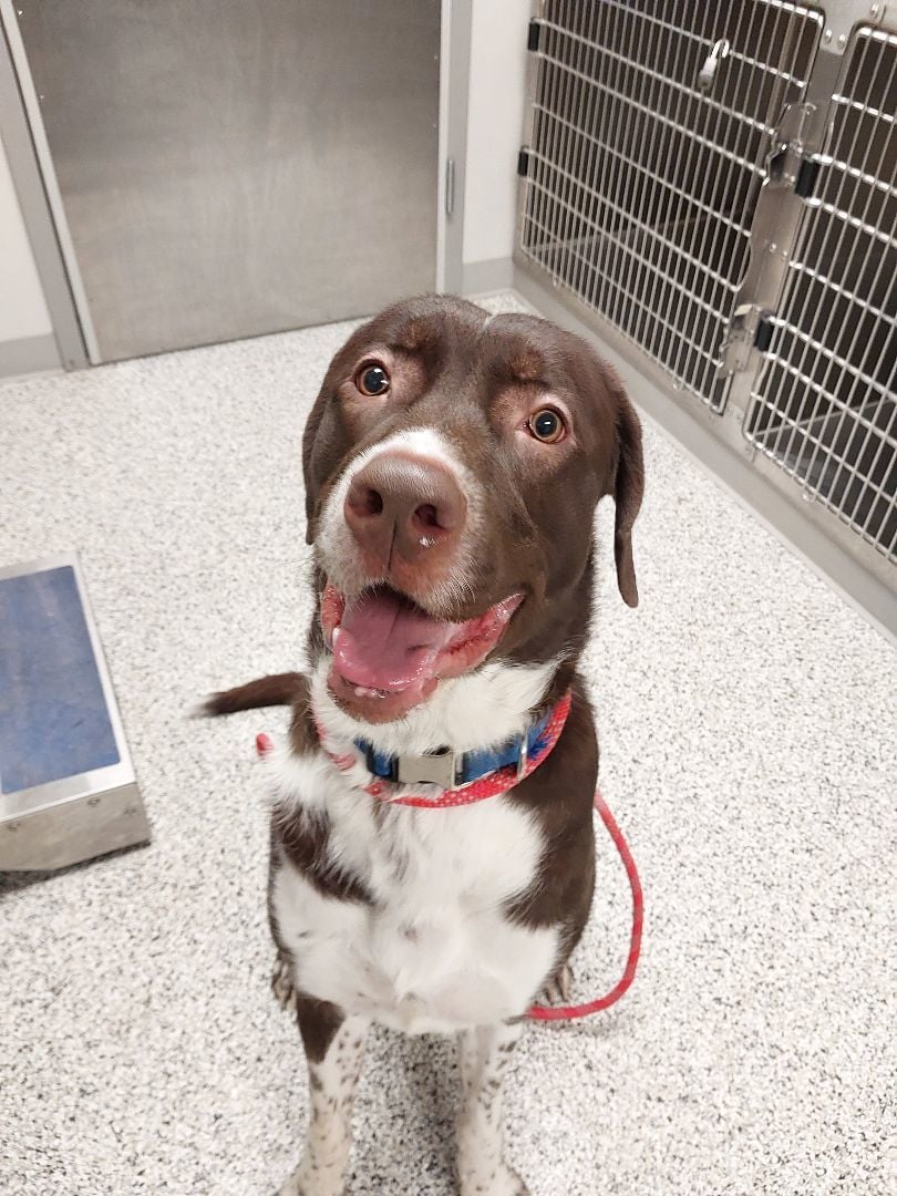 --FOUND-- Jefferson Park Apartments 