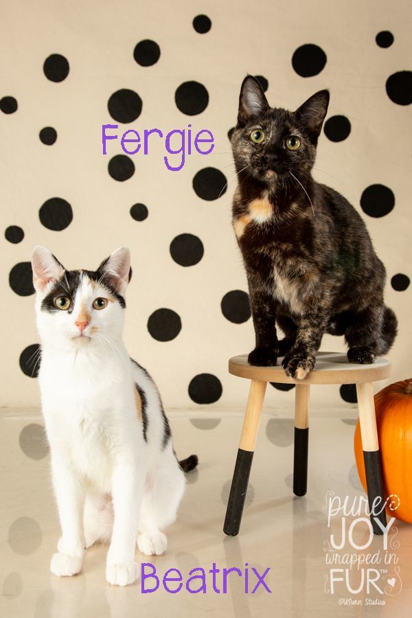 BEATRIX, FERGIE, HARPER & THOMAS