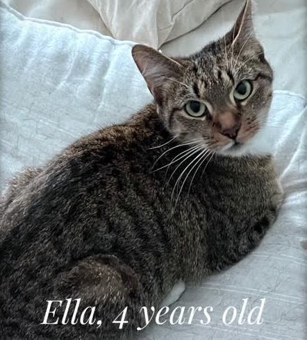 Ella