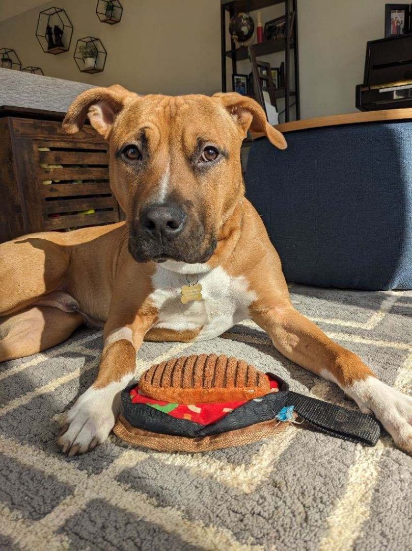 Marty - Courtesy Post