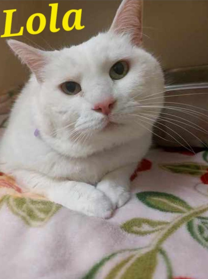 Lola