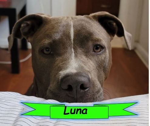 Luna