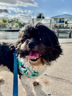 Bonnie / Redington Beach 