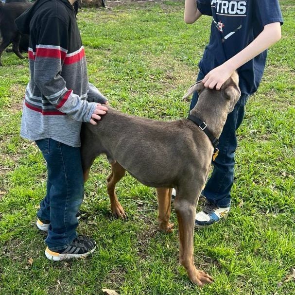 Calypso -Coming in Hot!