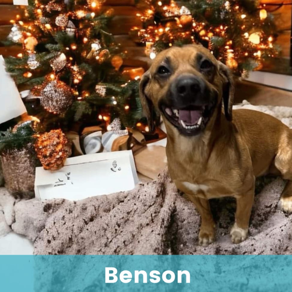 Benson