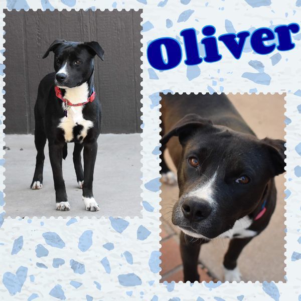 Oliver