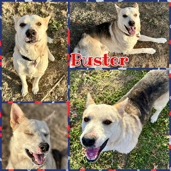 Buster