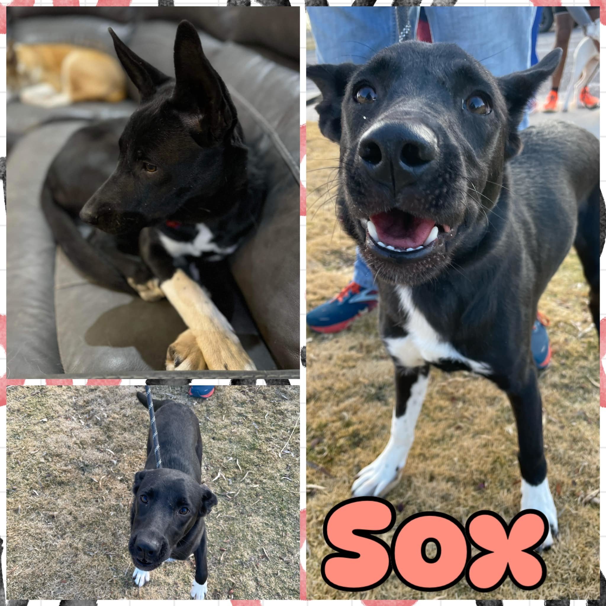 Sox