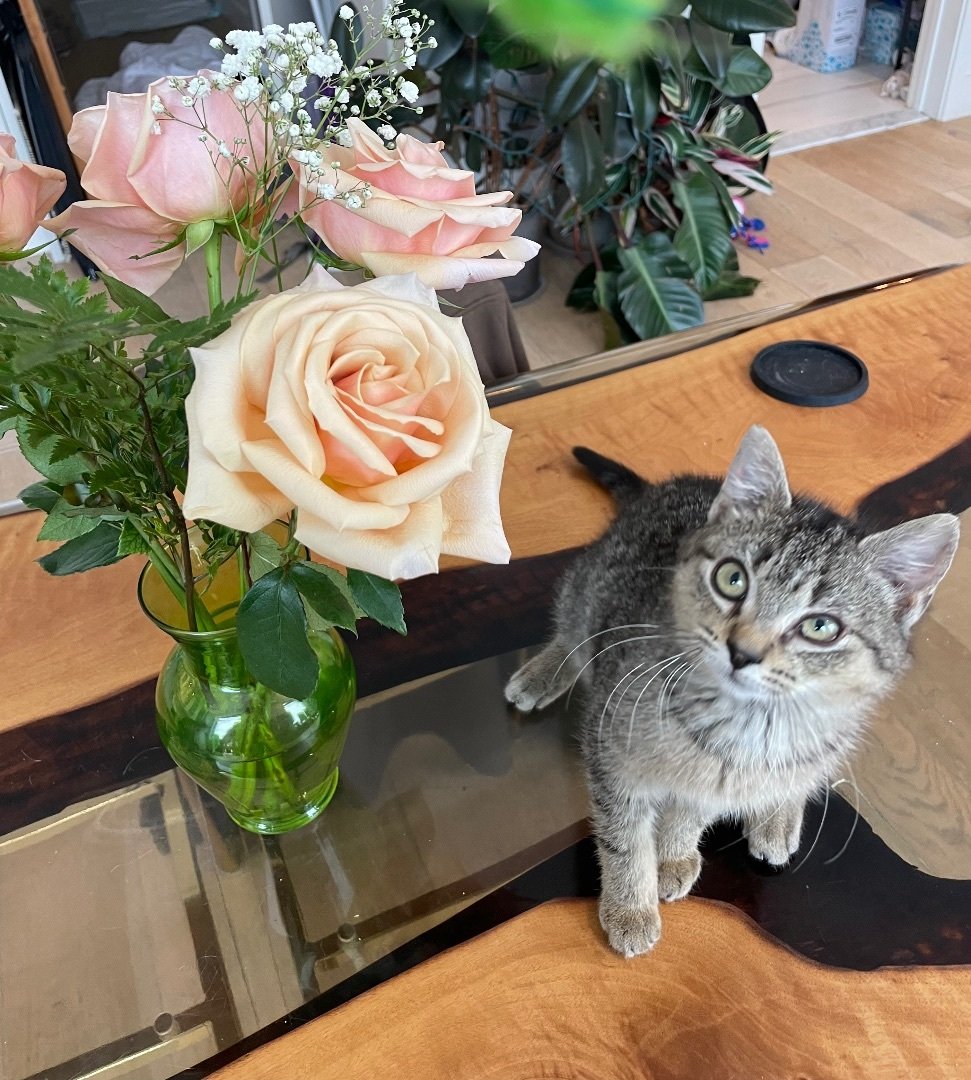 Handkerchief aka Hank