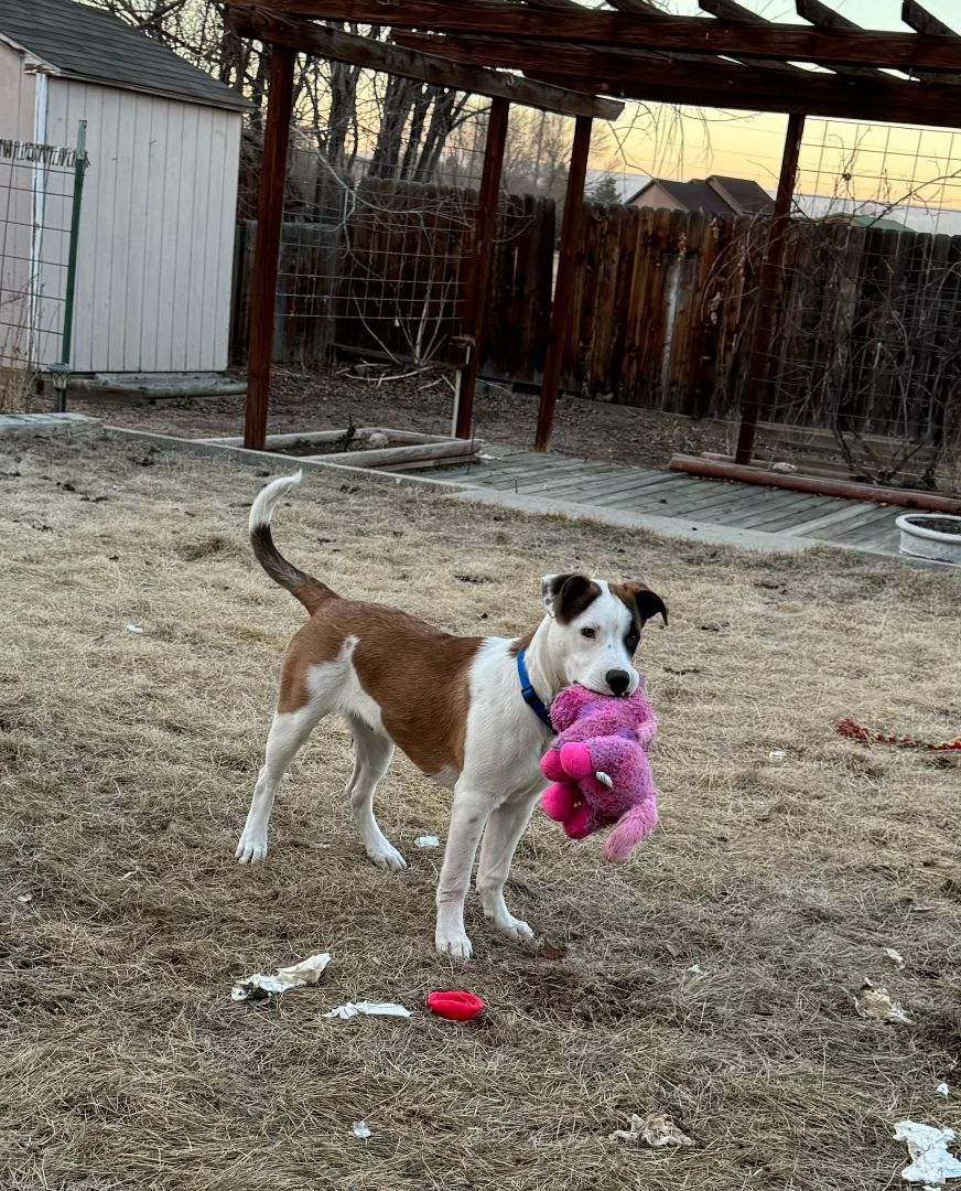 Courtesy post. Call the owner directly. ANDY 