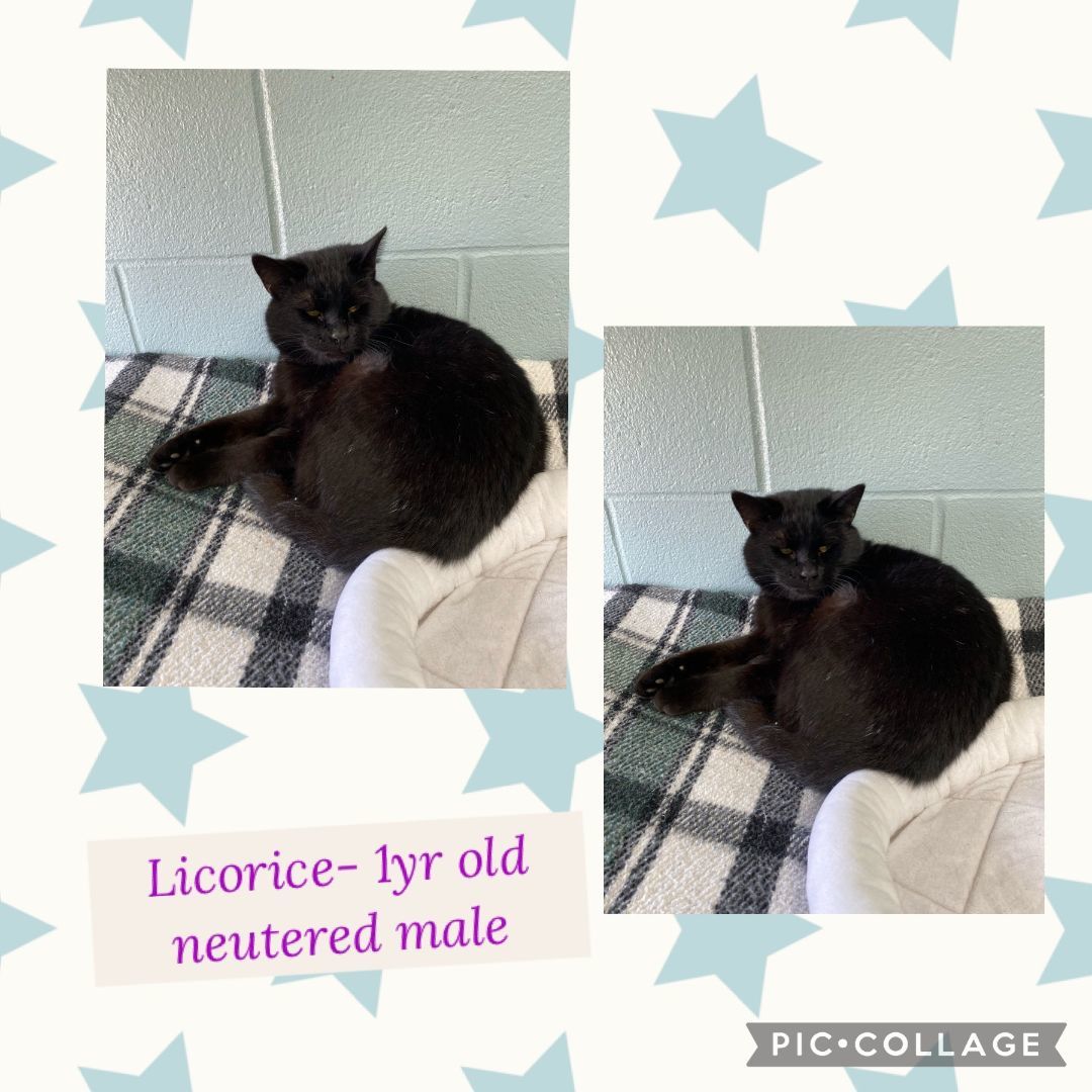 Licorice