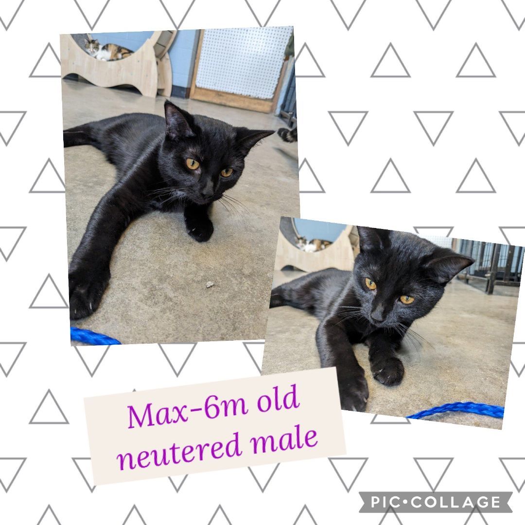 Max
