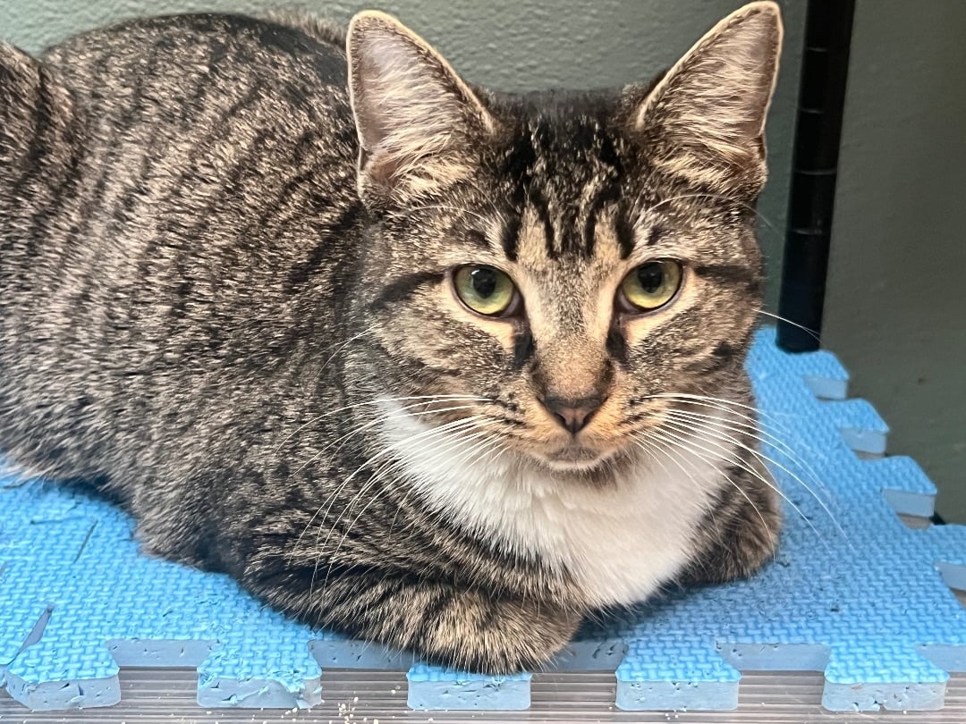 Beautiful and Bubbly Bobbie 