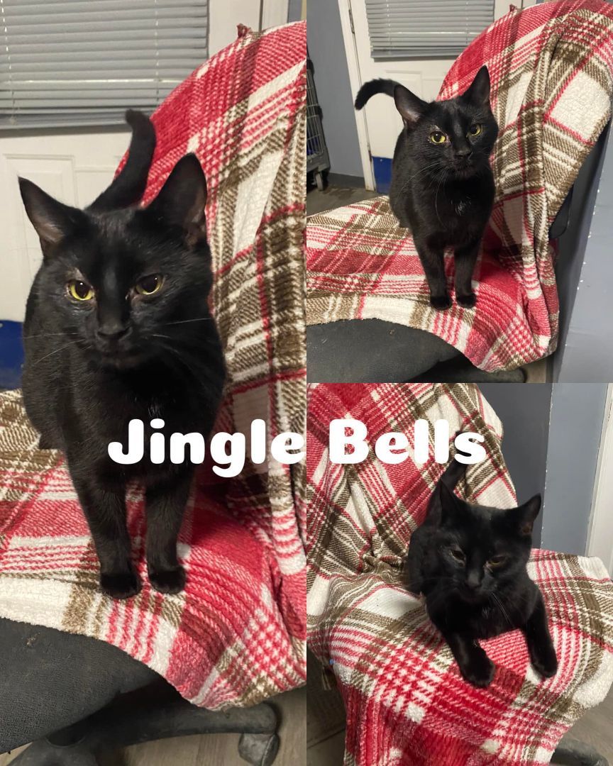 Jingle Bells
