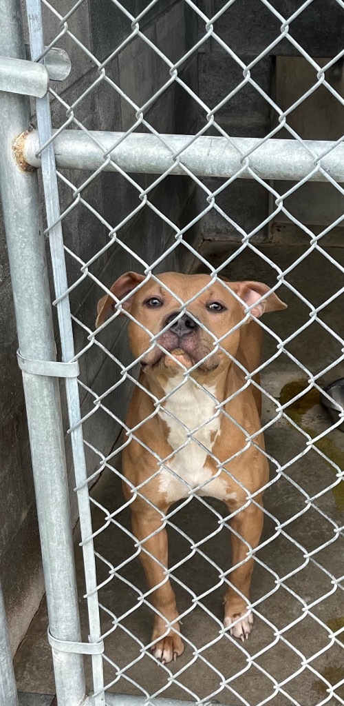 Francesca - Stray Hold