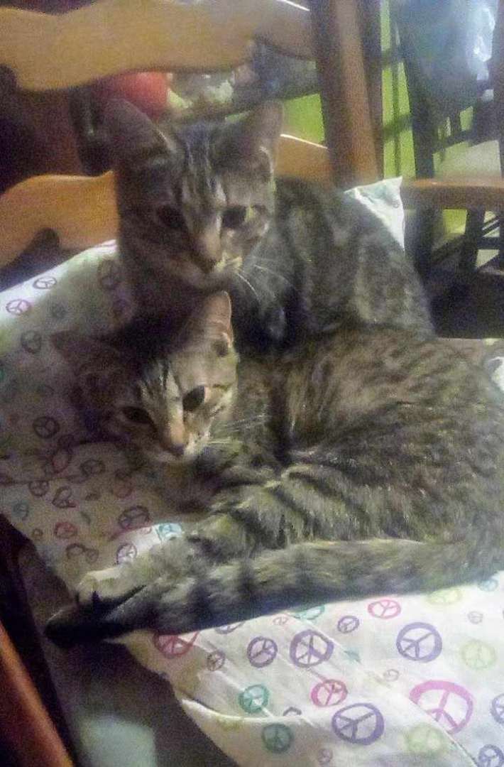 Pare & Ponder- BONDED PAIR