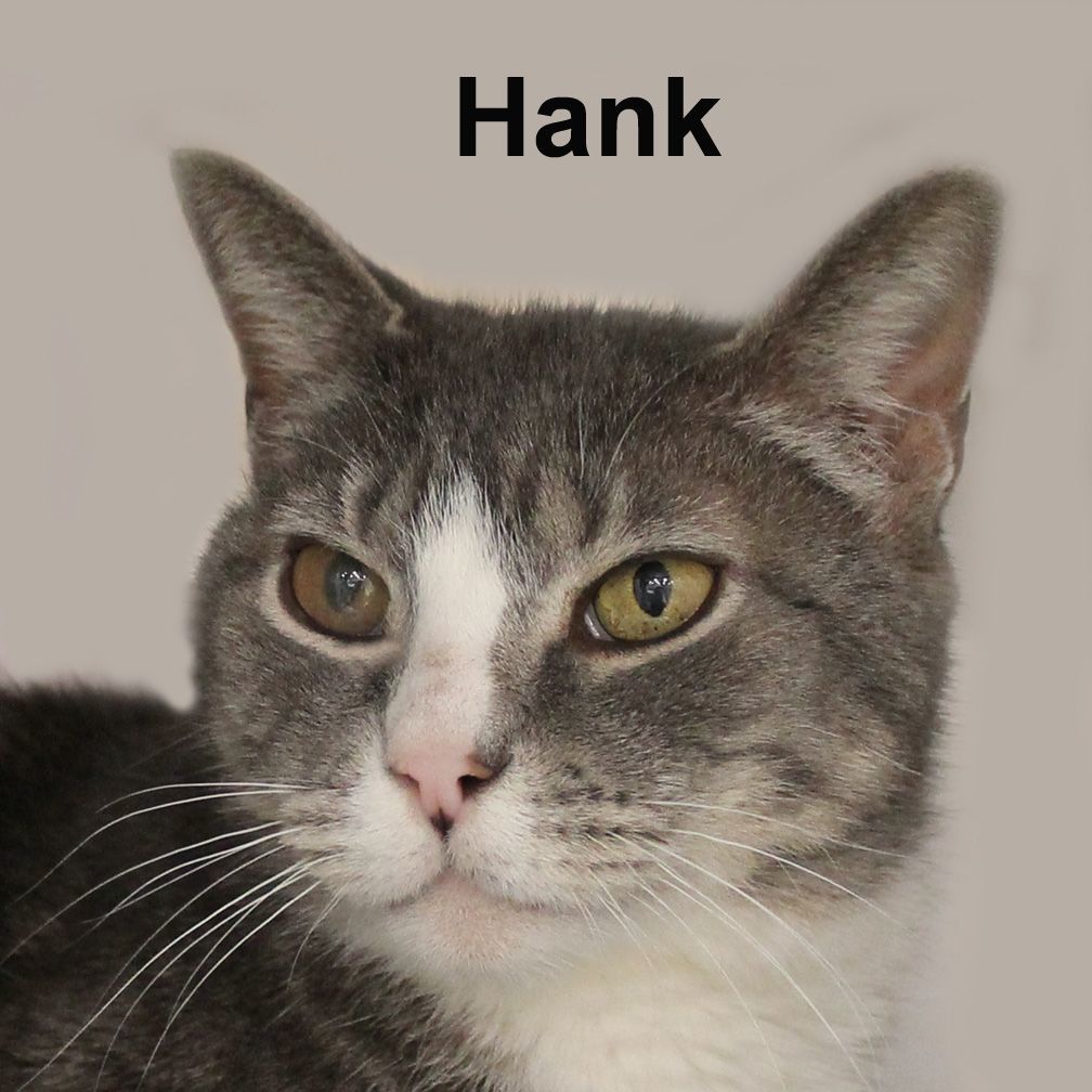 Hank Ricc. (friendly and affectionate)