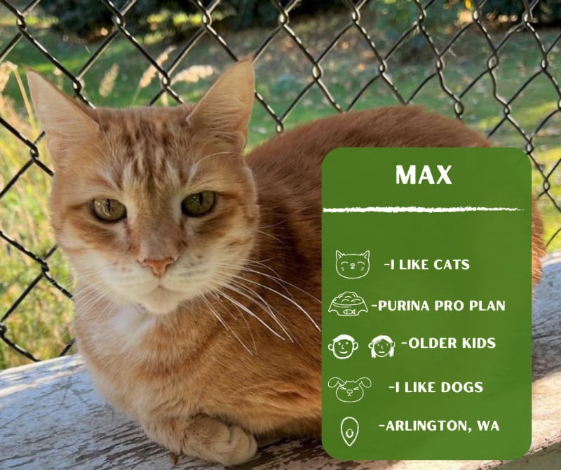 Max