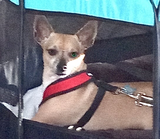 Delgado (aka Mac Daddy)