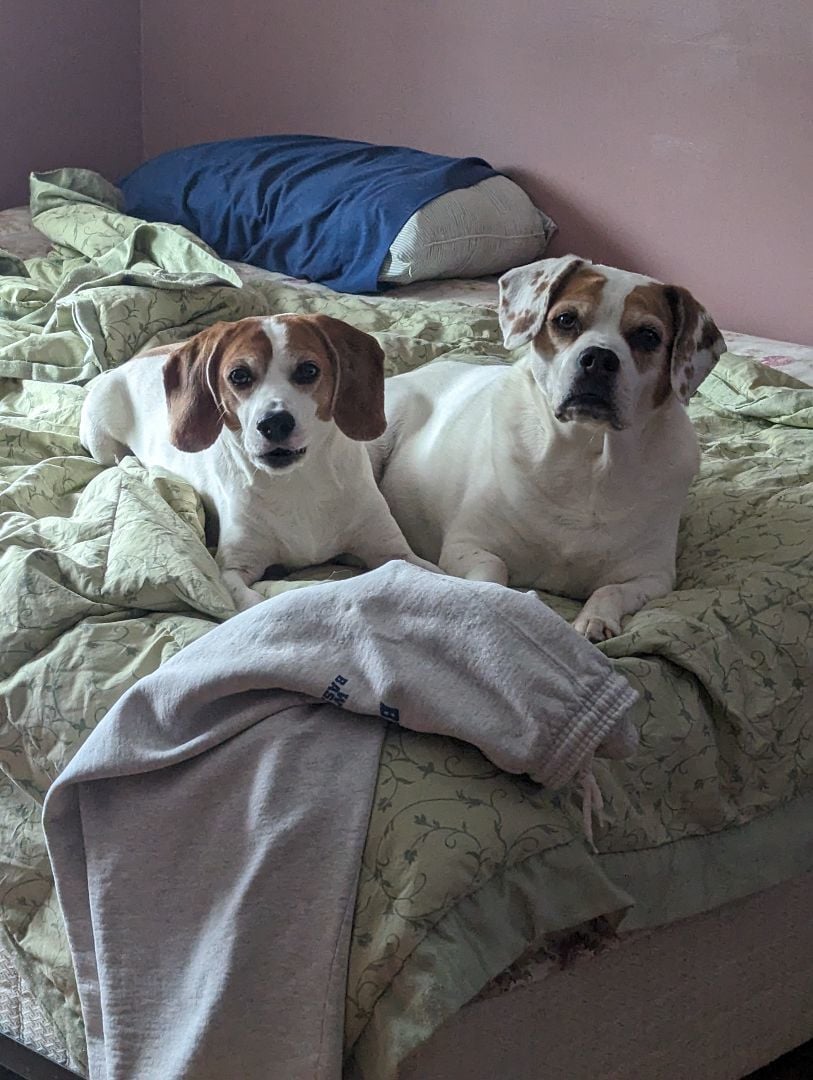 COURTESY POST:  ZOEY and BRODY