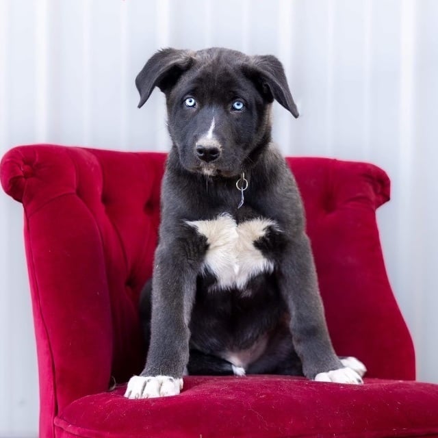 Bandit - Local March 22-24