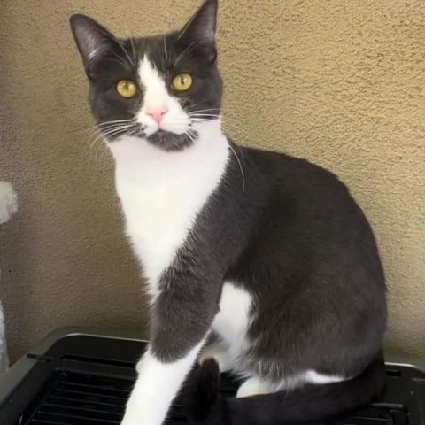 Raph - City of Industry Location