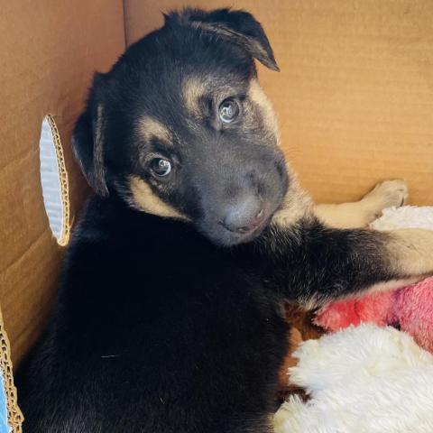 Atlas - City of Industry Location