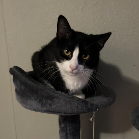 Jeska - City of Industry Location