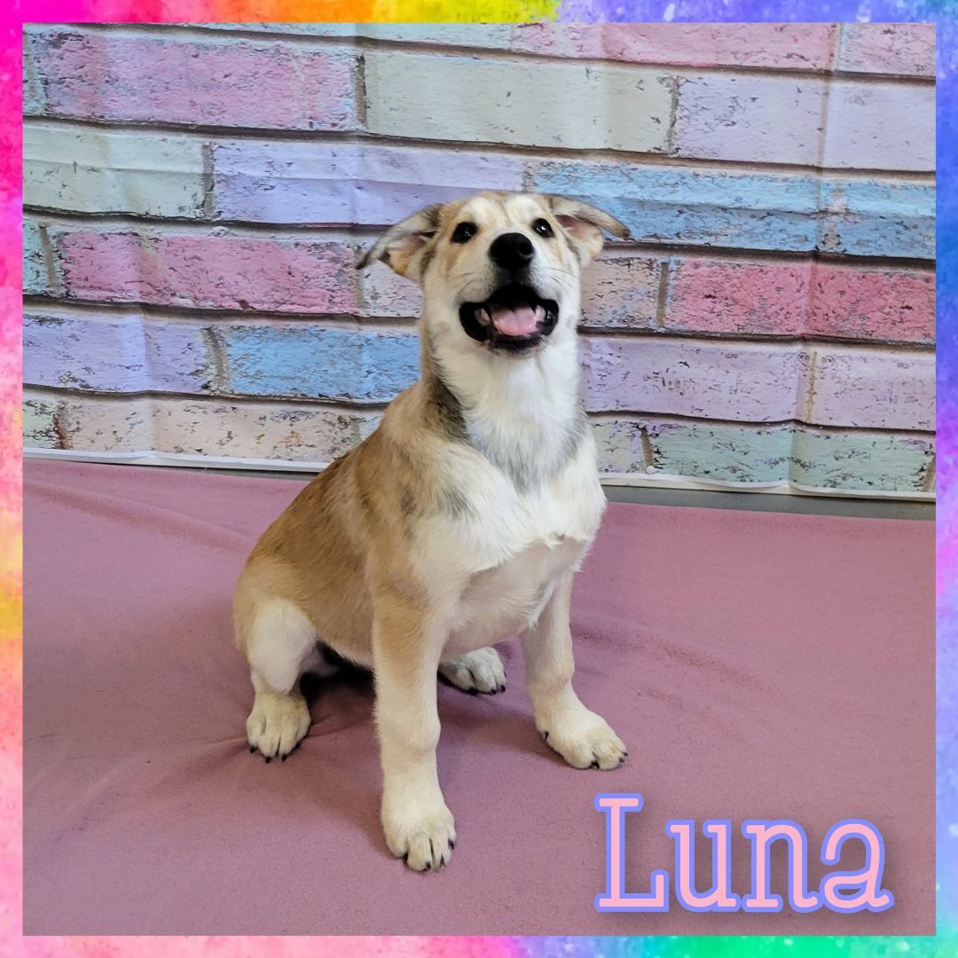 Luna