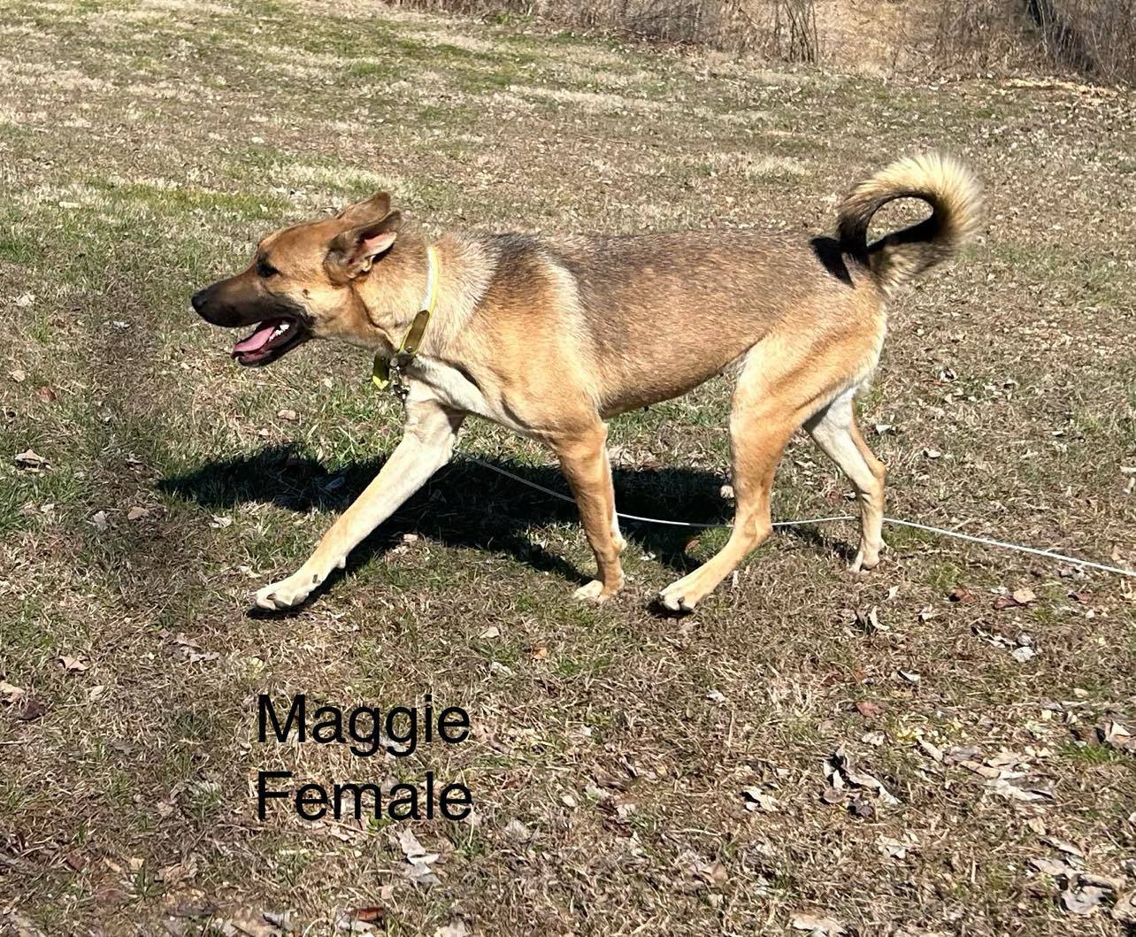 Maggie