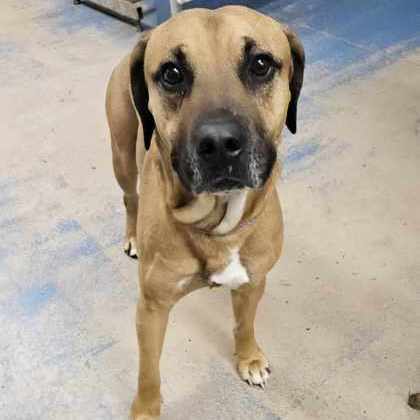 55428057 Available 3/1