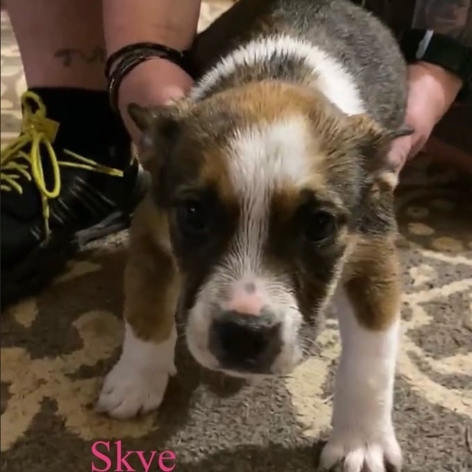 Skye