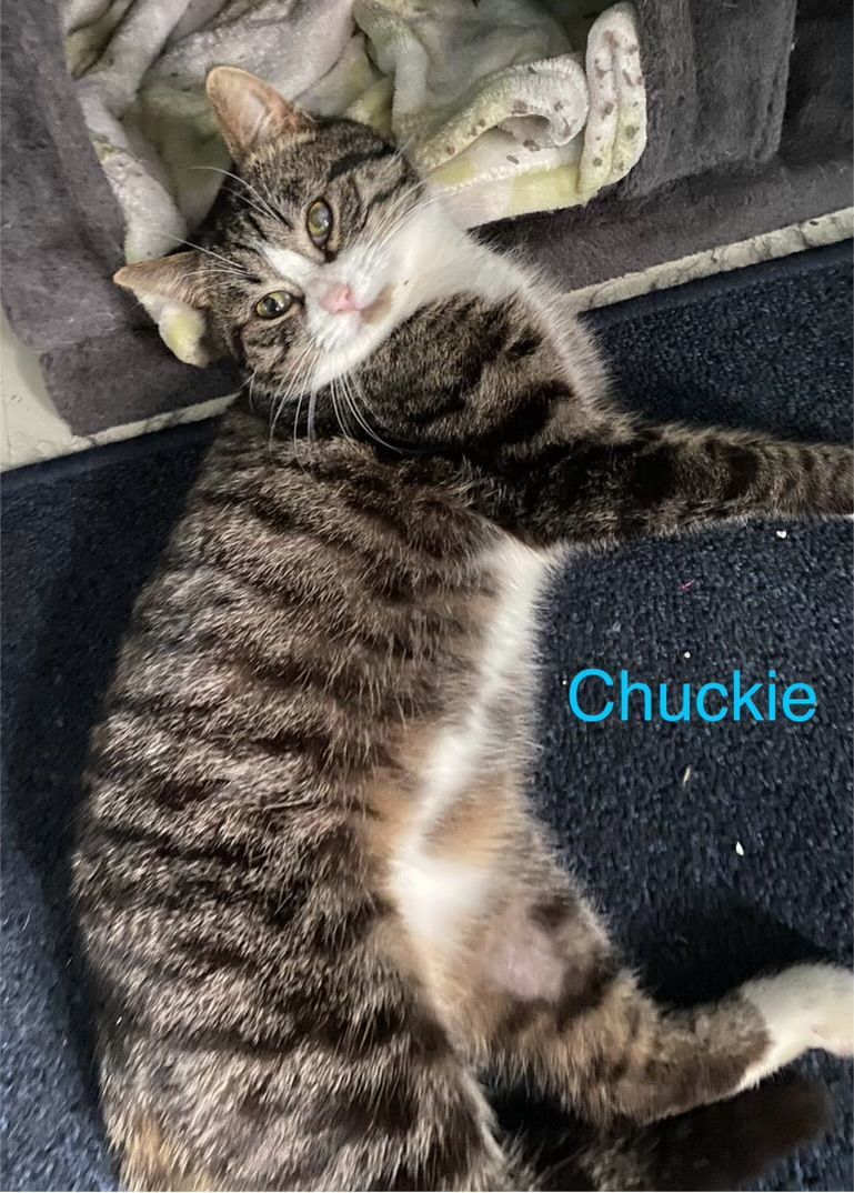 Chuckie