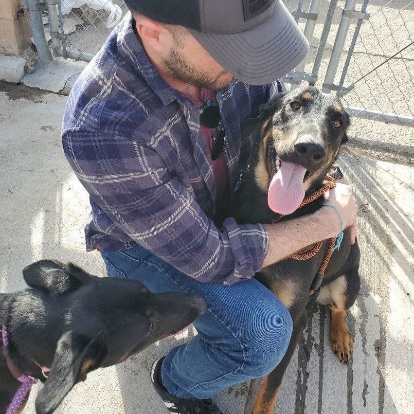 Moosey Moose Loves Hugs!