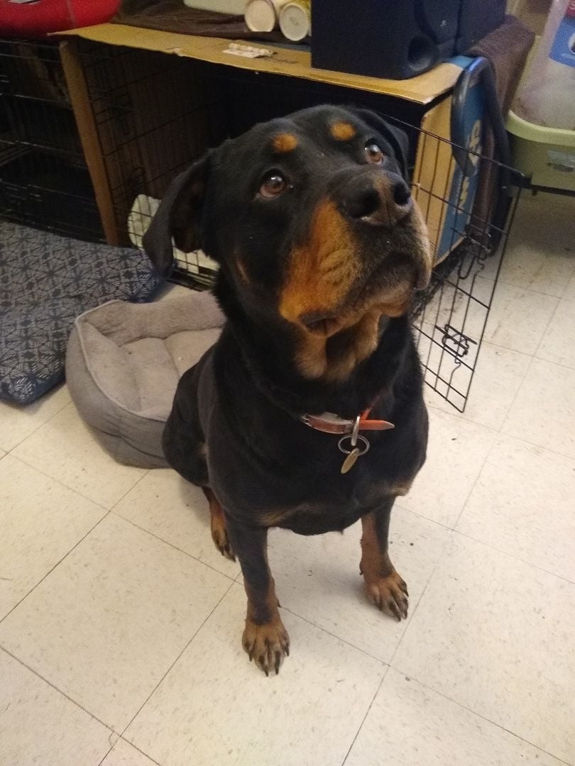 Coda (Courtesy Post)