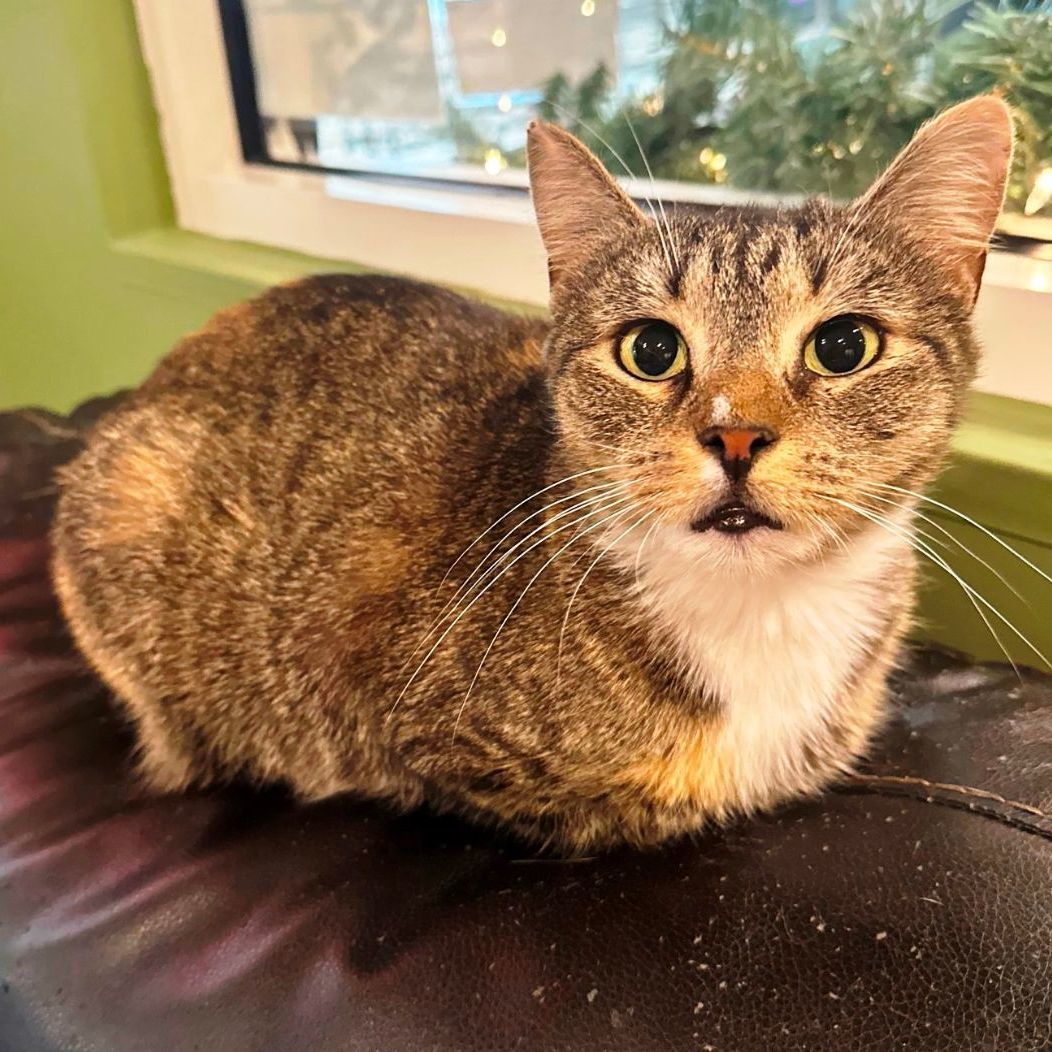 Ramona (Laid back gal)