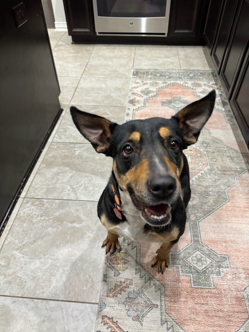 Olive Karma Sweet Happy Girl