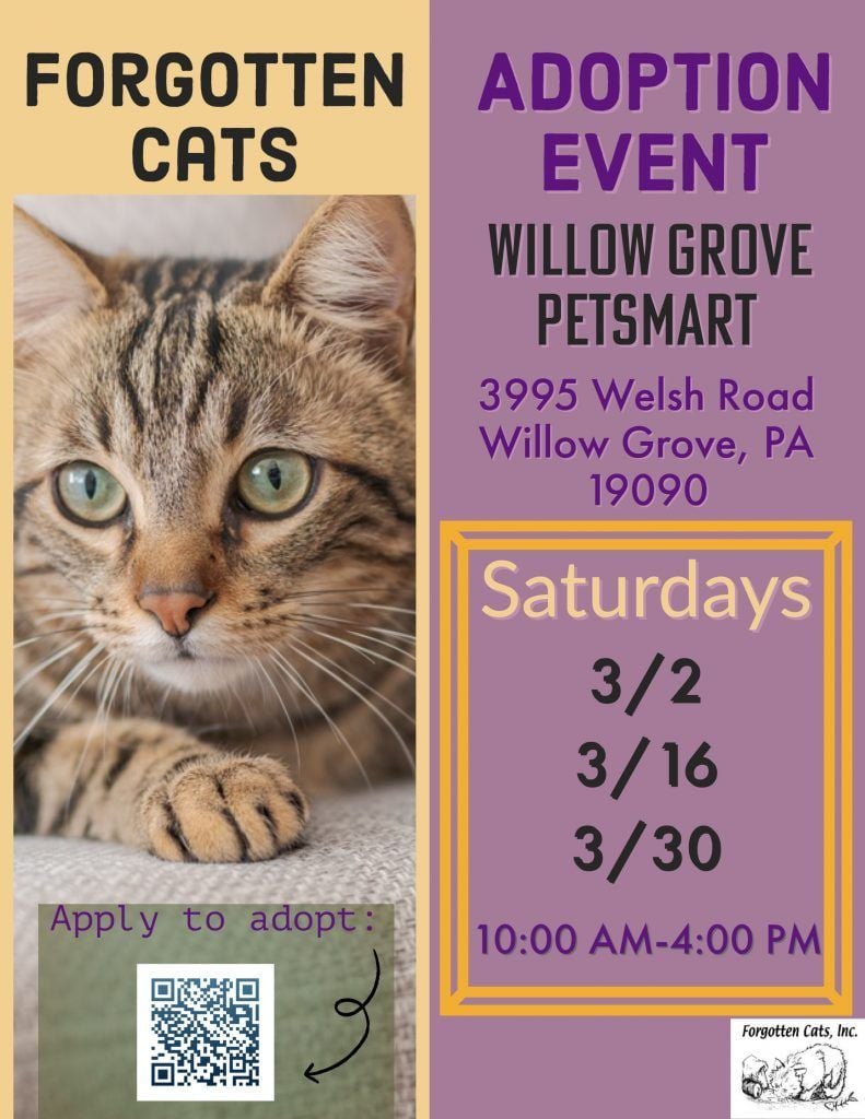 Willow Grove PetSmart March Adoption Events