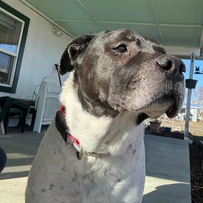 Buford-Courtesy Post-Please Do NOT contact SDRO