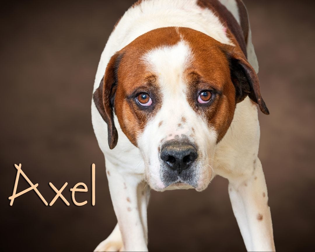 Axel