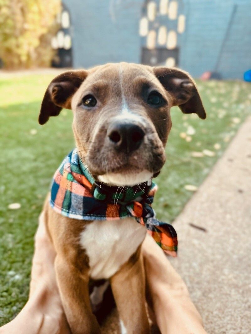 Rum Runner Happy Hour