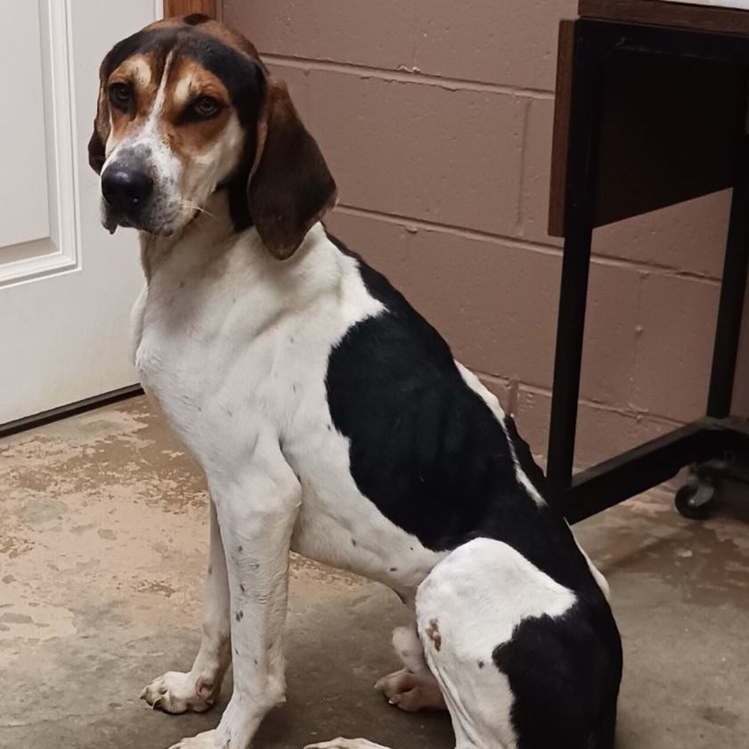 24-037 Available 2-20-24