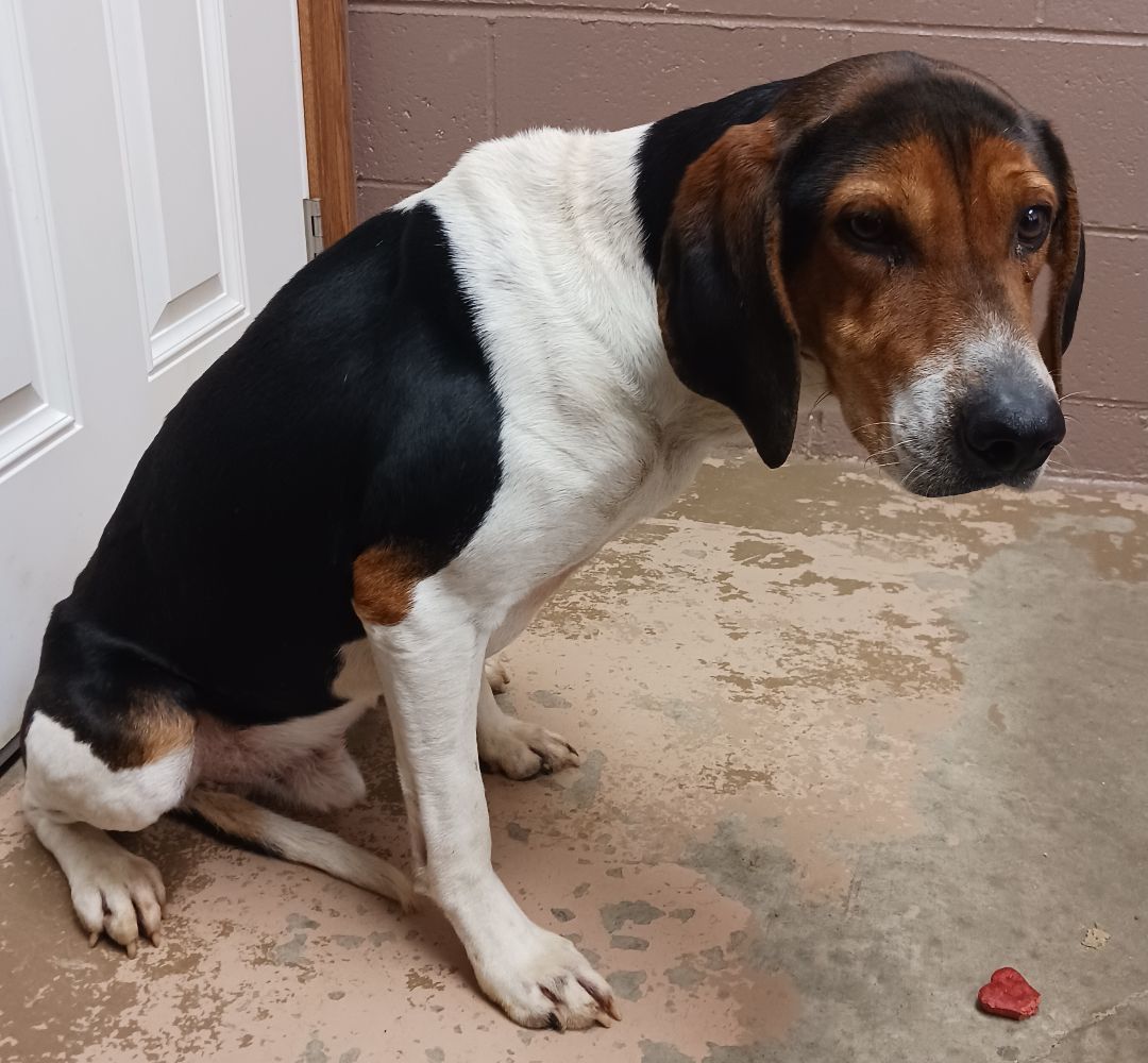 24-024 Available 2-12-24