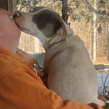 Eeyore-FOSTER HOME NEEDED