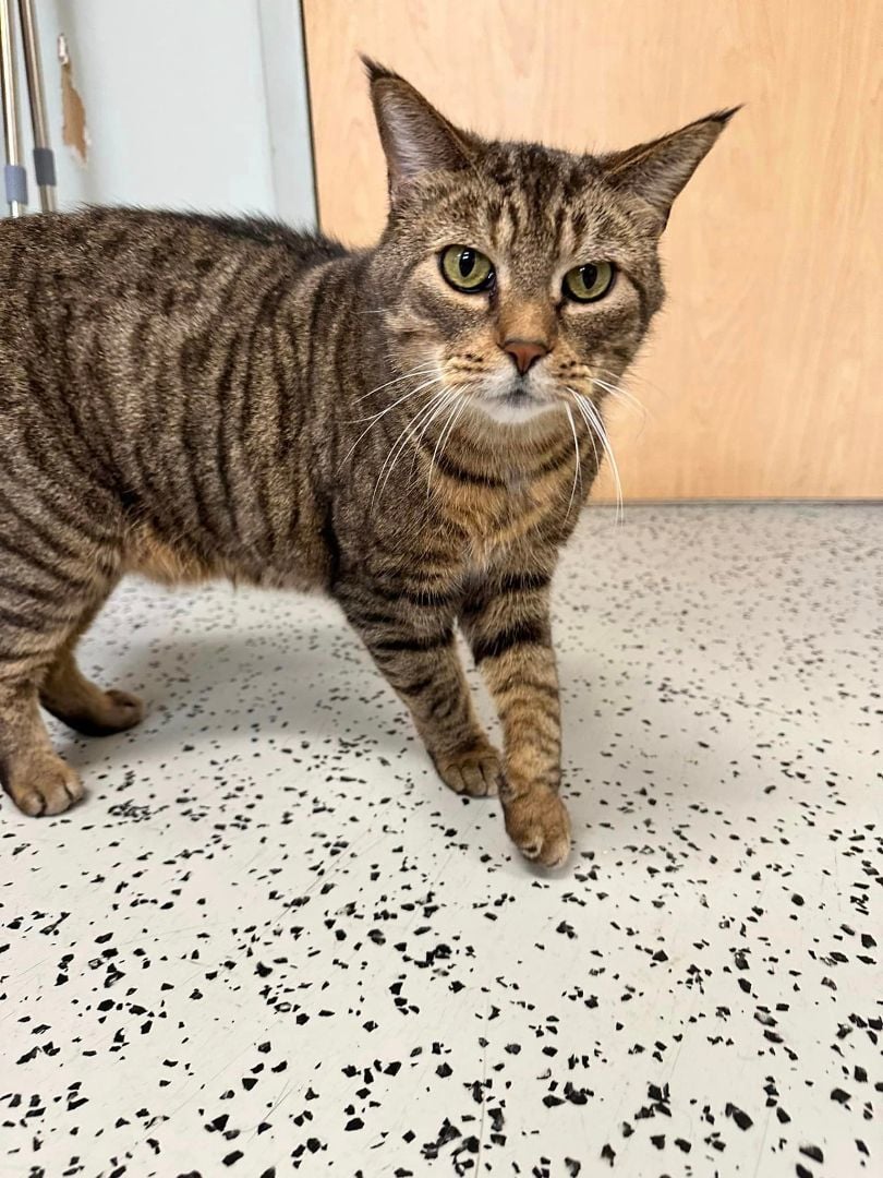 Armani & Ralph *pair*