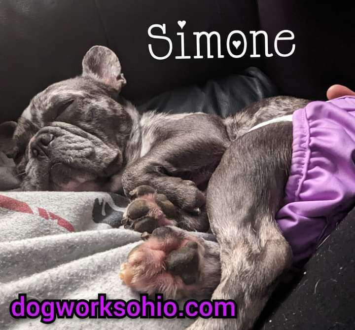Simone